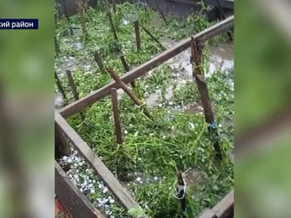 Выплаты пострадавшим жителям Михайловского и Волчихинского районов начнутся со следующей недели