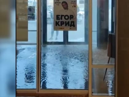 Вход в барнаульский ТЦ "Весна" залило потоком воды