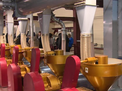 В Заринске открыли новый завод по производству льняного и рапсового масла