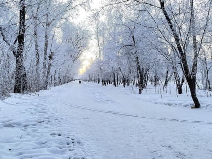 В Барнауле вновь может вспыхнуть скандал из-за спортивной стройки в парке