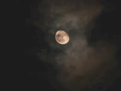 Такой день. Проект нового аэропорта и нашествие мошки в селах