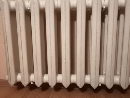 Зелёный «Уранин» и неприятный «Скунс» поселились в батареях жителей Камня-на-Оби