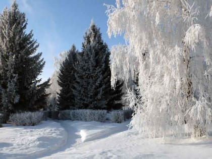 До -17: о погоде в Алтайском крае 22 января