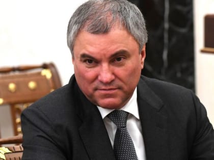 Спикер Госдумы Володин поднял вопрос о переносе новогодних праздников