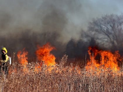 В Калманском районе горит садоводство «Мотор»