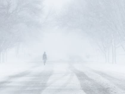 Сильный ветер и мокрый снег ожидаются 24 марта в Алтайском крае