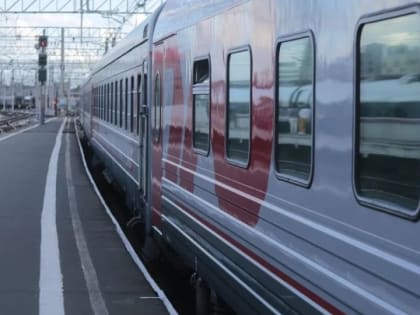 Семимесячная девочка умерла из-за гриппа в поезде Москва – Чита