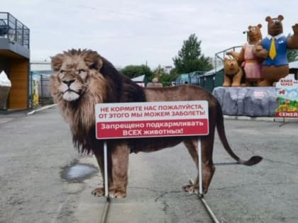 В барнаульском зоопарке закормили до смерти косуленка