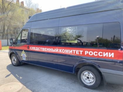 Жительница Барнаула и ее сын признаны виновными  в оскорблении участников судебного разбирательства