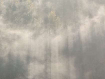 Такой день. Эскизы новогодних плакатов и половина нераспроданных квартир в барнаульских новостройках