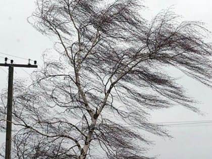 Алтайский край и Рубцовск продолжает штормить: погода на 30 марта