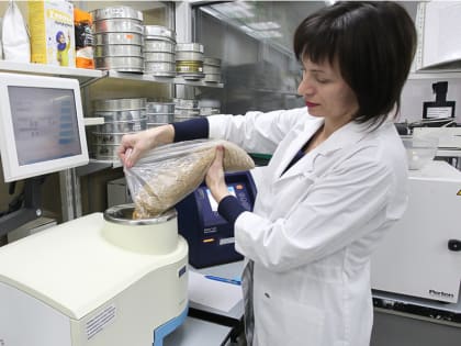 Как ограничения ввоза семян из недружественных стран скажутся на аграриях