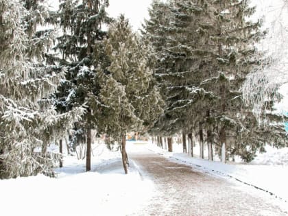 В Алтайском крае на смену холодам пришло потепление до +4 градусов и метели