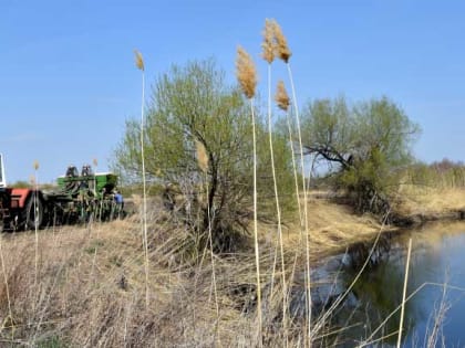 До +29: о погоде в Алтайском крае 30 апреля