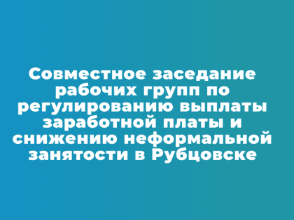 Совместное заседание рабочих групп по регулированию выплаты заработной платы и снижению неформальной занятости в Рубцовске