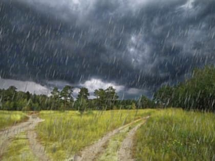 Дождь и гроза: о погоде в Алтайском крае 18 июня