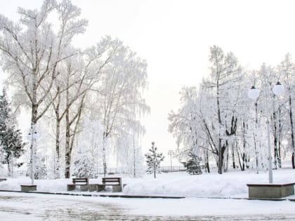 В Алтайский край возвращаются морозы до -35 градусов с северным ветром