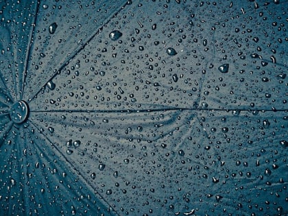 Синоптики обещают в Алтайском крае дожди и грозы