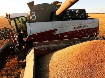 Экспорт алтайского зерна в Китай рекордно вырос в текущем сезоне