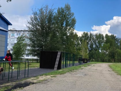 На стадионе школы №15 г. Заринска появилась военно-спортивная полоса препятствий