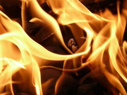 В Барнауле введен режим повышенной готовности из-за пожароопасности