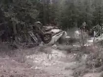 Посреди леса в Иркутской области нашли останки пропавшего полгода назад мужчины