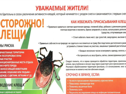 Осторожно! Клещевой энцефалит