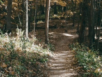 В Алтайском крае подросток пропал после ссоры с родителями