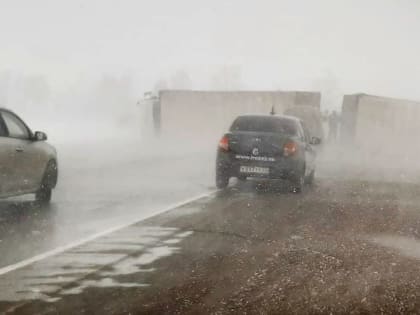 Потепление до +3 градусов и снег с ветром пришли в Алтайский край 25 марта