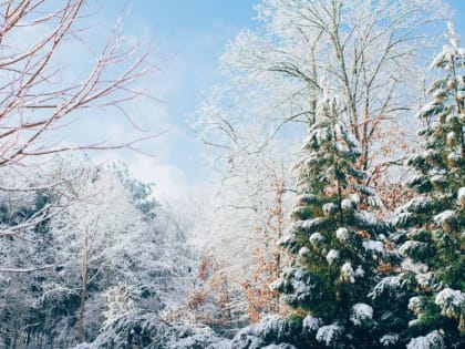 25 декабря в Алтайском крае потеплеет до +5 градусов