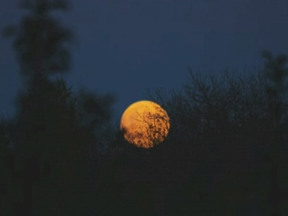 Такой день. Скандал из-за еды в детском саду и «смерть» бийского аэропорта