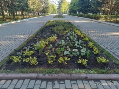 На территории Ленинского района приступили к высадке цветочной рассады