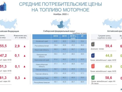 О потребительских ценах на бензин и дизельное топливо  в Алтайском крае в ноябре 2022 года