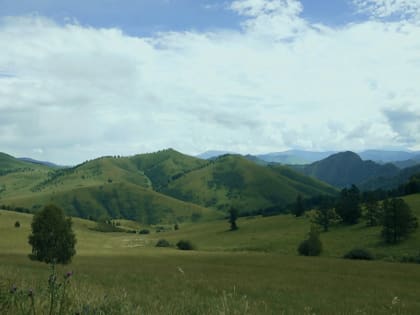 Археологи АлтГУ ведут раскопки в Чарышском районе