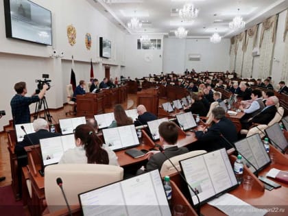 В Алтайском крае на региональном уровне дополнительно урегулировано финансирование муниципальных органов опеки и попечительства, комиссий по делам несовершеннолетних и защите их пр