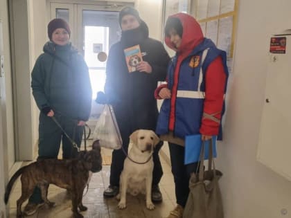 Жителям микрорайонов «Центр» и «Западный» рассказали о необходимости чипирования домашних собак