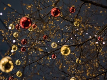 Астролог перечислила везунчиков последнего месяца 2021 года