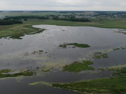 Алтайский край остаётся в пятёрке наиболее экологически безопасных регионов