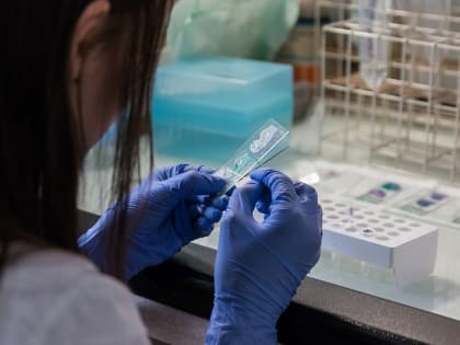 Депутаты Алтайского края решили помочь учёным