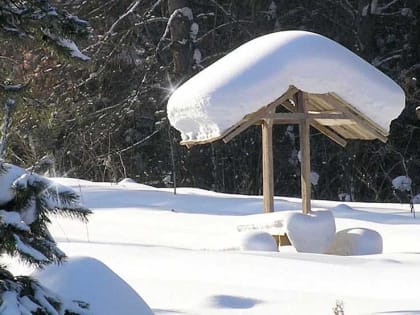 Небольшой снег: о погоде в Алтайском крае 12 декабря