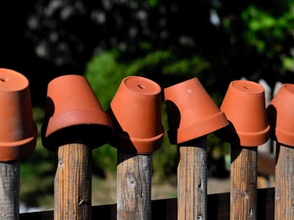 В Алтайском крае поставили на паузу земельные споры