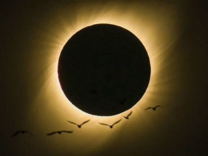 Астролог выделил знаки зодиака, на которые повлияет солнечное затмение 30 апреля