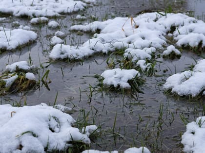 В Алтайском крае сохранится погода гораздо выше нормы