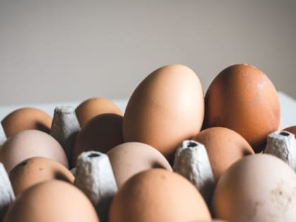 Куриные яйца в России подорожали за неделю на 4,6%