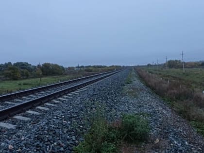 В Алтайском крае транспортной прокуратурой проверяются обстоятельства травмирования несовершеннолетнего на станции Сарайский