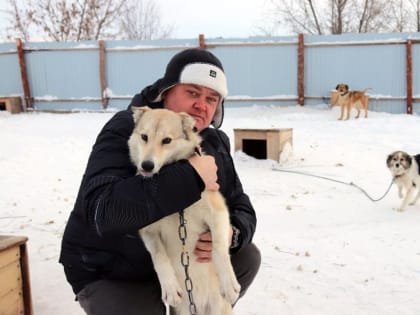 В ответе за тех, кого приручили?..