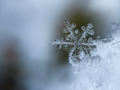 Морозно и туманно. О погоде в Алтайском крае 28 ноября