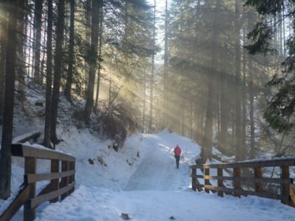 Погоду без осадков и до -6 градусов прогнозируют синоптики в Алтайском крае