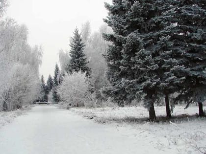 Местами снег: о погоде в Алтайском крае 1 февраля