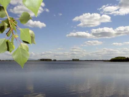 До +33: о погоде в Алтайском крае 29 июня